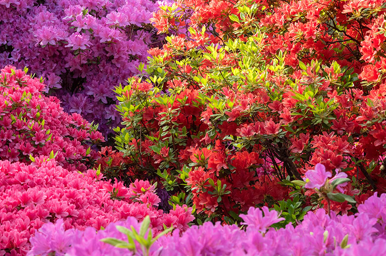 12 things you didn't know about the Masters